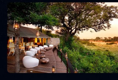 Safari Expeditions